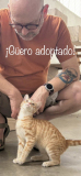 Güero (macho)