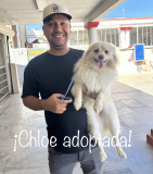 Chloe