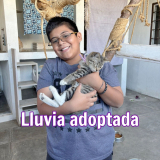 Lluvia