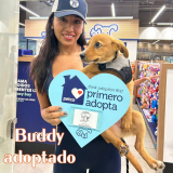 Buddy