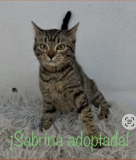 Sabrina