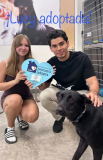 Lucy. Adoptada el 6 de junio de 2026