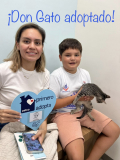 Don Gato adoptado 13 de junio de 2026