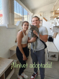 Ninivet - adoptada 30 de junio de 2026