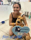 Nori adoptada 26 de junio de 2026