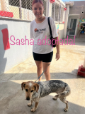 Sasha adoptada 27 de julio de 2026