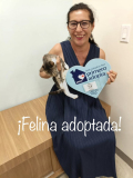 Felina