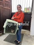 Doja