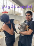 Jet and Gris
