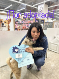 Flor