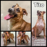 Tito